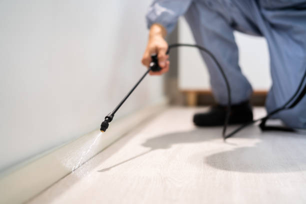 Bed Bug Pre-Treatment Preparation Assessment in Myersville
