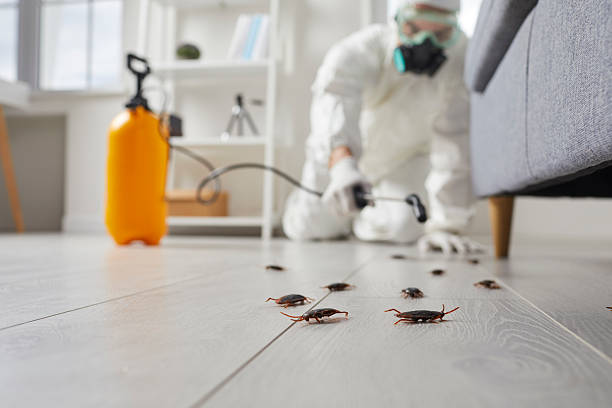 Post-Treatment Bed Bug Interceptor Monitoring in Myersville