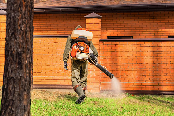 Bed Bug Clearance Verification and Documentation in Myersville